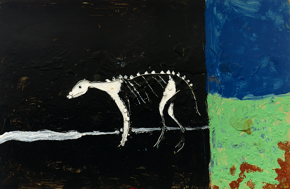 Animal skeleton on black background