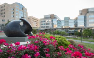 Photo of large bronze sculpture in front of glass buildings with flowers in foreground